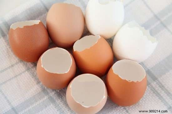 Use Eggshells As Seedling Pots To Save On Gardening. 