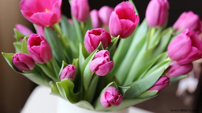 2 Tips to Keep a Bouquet of Flowers Longer. 