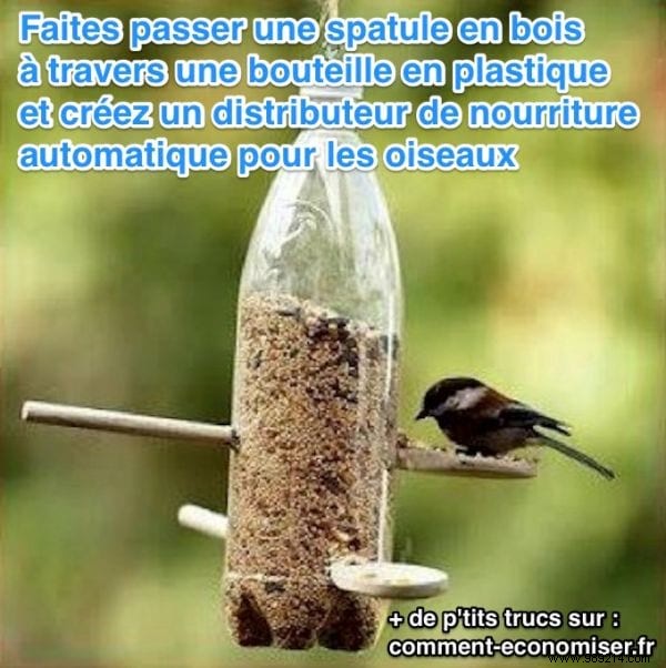 How to Easily Create an Automatic Bird Food Dispenser. 