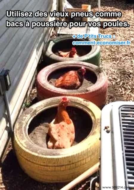 Use Old Tires As Dust Pans For Your Hens. 