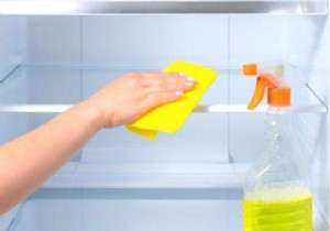 The Healthiest and Most Effective Fridge Cleaner. 