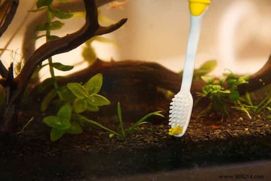 25 Incredible Uses of Old Toothbrushes. 