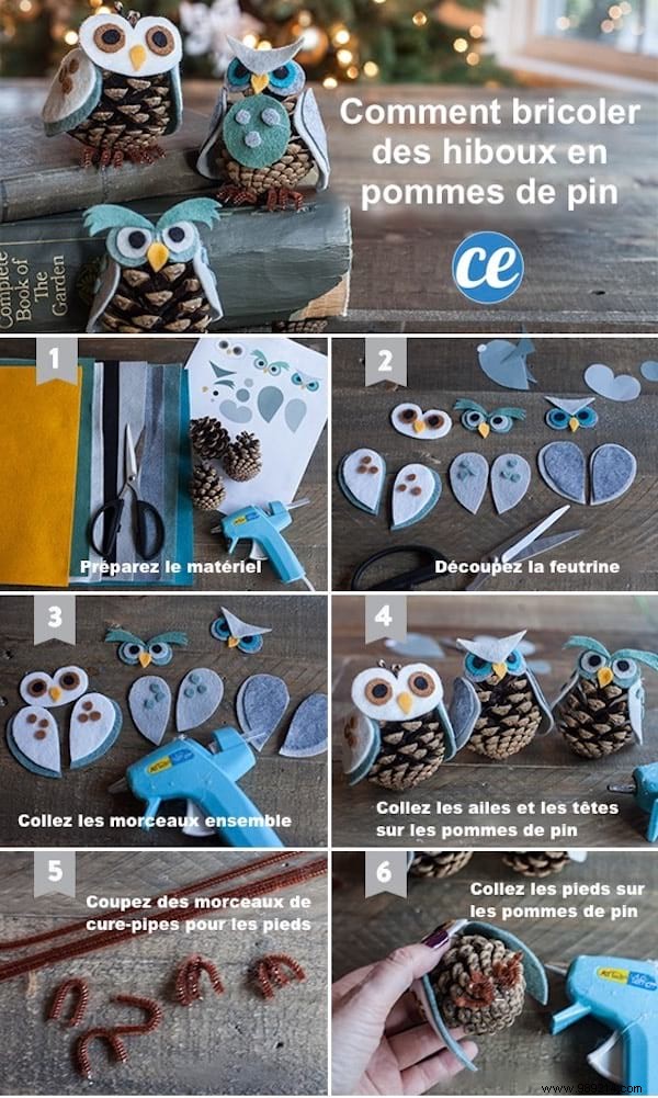 Here s How To DIY Owls out of PINE CONES Easily. 