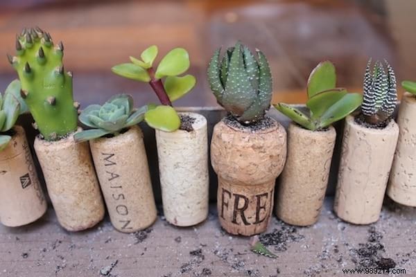 25 Creative Ways To Recycle Cork Stoppers. 