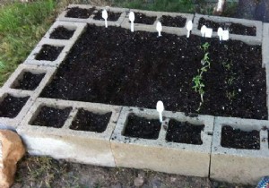 How to Make a Raised Vegetable Garden:The EASY and CHEAP Method. 