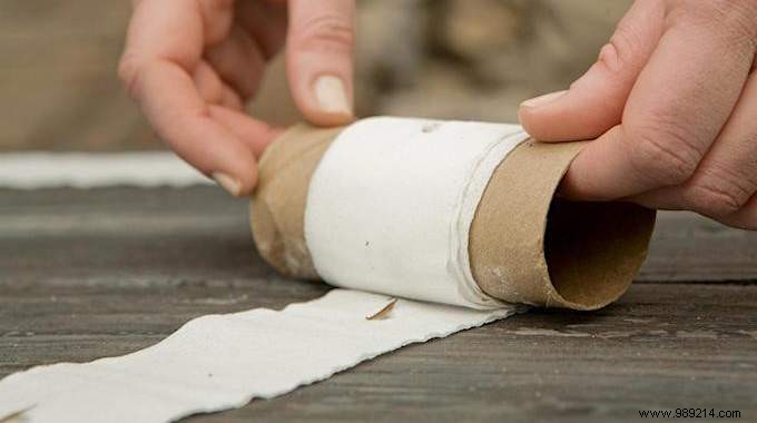 How To Make Seed Ribbon With Toilet Paper (Easy And Cheap). 