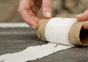 How To Make Seed Ribbon With Toilet Paper (Easy And Cheap). 