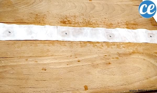 How To Make Seed Ribbon With Toilet Paper (Easy And Cheap). 