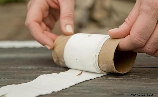 How To Make Seed Ribbon With Toilet Paper (Easy And Cheap). 