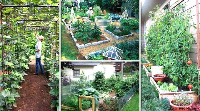 23 Market Gardening Tips For A Successful First Vegetable Garden. 