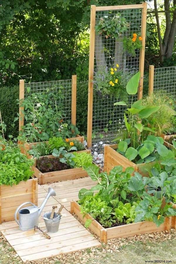 23 Market Gardening Tips For A Successful First Vegetable Garden. 