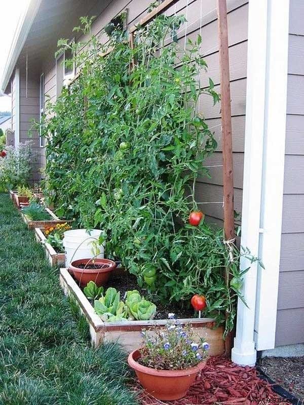 23 Market Gardening Tips For A Successful First Vegetable Garden. 