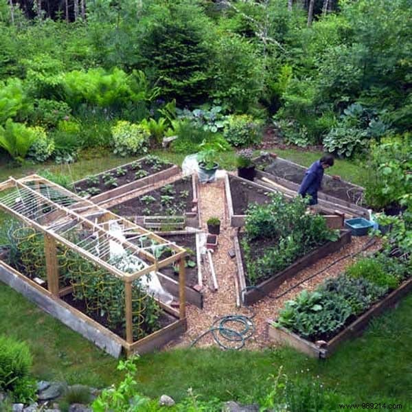 23 Market Gardening Tips For A Successful First Vegetable Garden. 