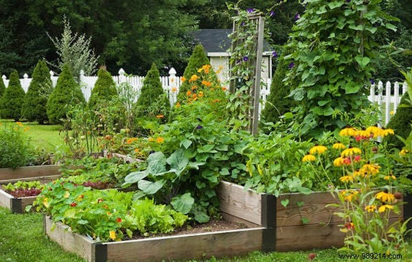 Why You Should ALWAYS Plant Flowers In Your Vegetable Garden. 