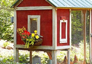 My First Chicken Coop:The Easy Guide For Beginners. 