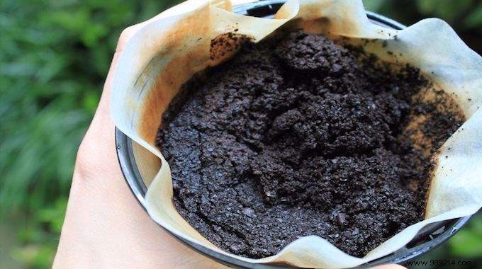 Don t Throw Away Coffee Grounds! 10 Amazing Ways To Use It In Your Garden. 