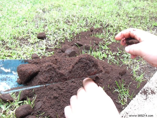 Don t Throw Away Coffee Grounds! 10 Amazing Ways To Use It In Your Garden. 