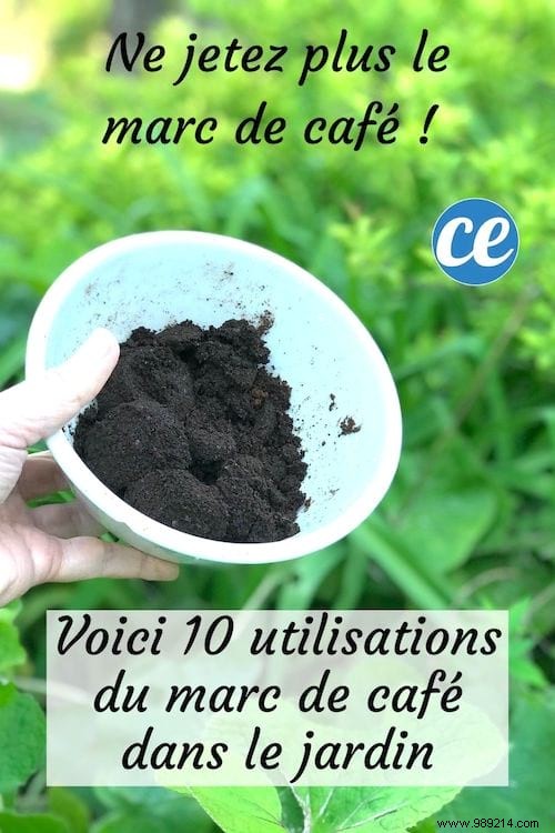 Don t Throw Away Coffee Grounds! 10 Amazing Ways To Use It In Your Garden. 