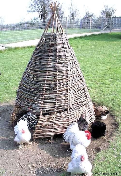 25 Brilliant Build-It-Yourself Chicken Coop Ideas With Scrap 