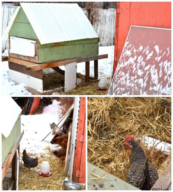 25 Brilliant Build-It-Yourself Chicken Coop Ideas With Scrap 