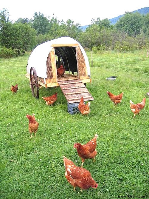 25 Brilliant Build-It-Yourself Chicken Coop Ideas With Scrap 