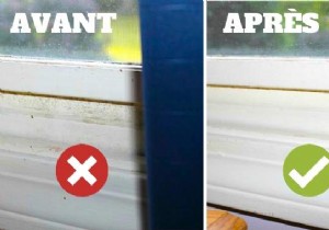 4 Tips to ELIMINATE Mold NATURALLY. 