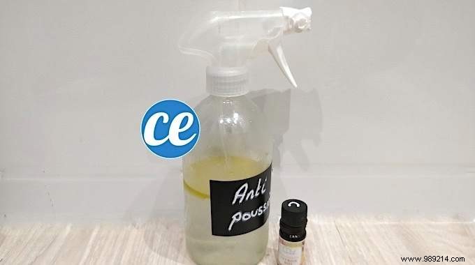 The Homemade Dust Spray That Eliminates Dust And Prevents It From Coming Back! 