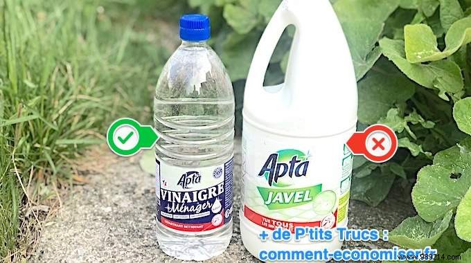 Bleach Or White Vinegar:Which Product To Use For Cleaning? 