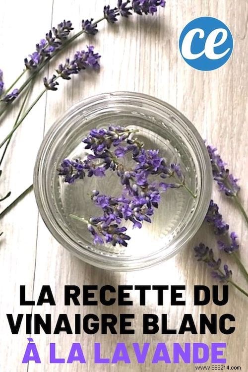 How To Make White Vinegar With Lavender That SCENT GOOD Provence! 