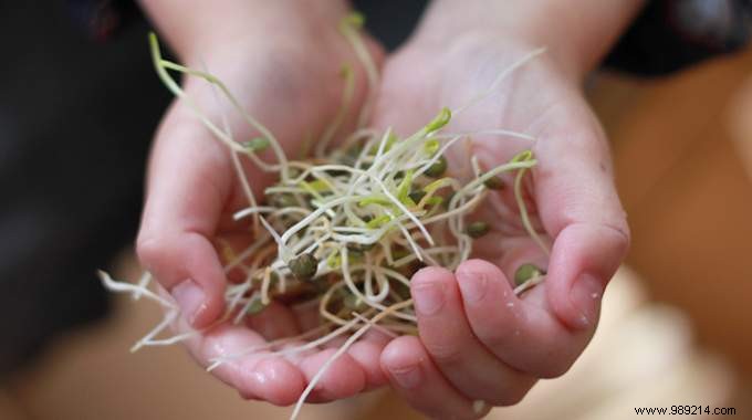 How to properly clean a seed sprouter with baking soda. 