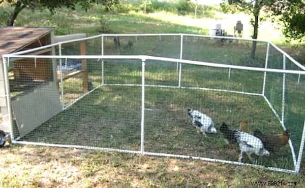 10 Tips For Your Chicken Coop That Your Hens Will Love! 