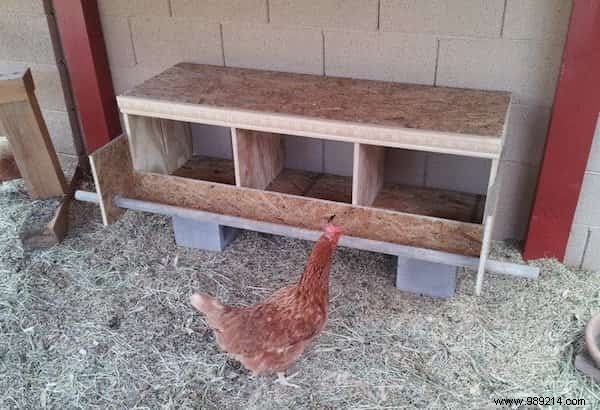 10 Tips For Your Chicken Coop That Your Hens Will Love! 