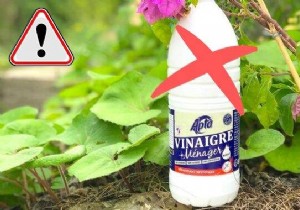 The Mistake Everyone Makes With White Vinegar. 