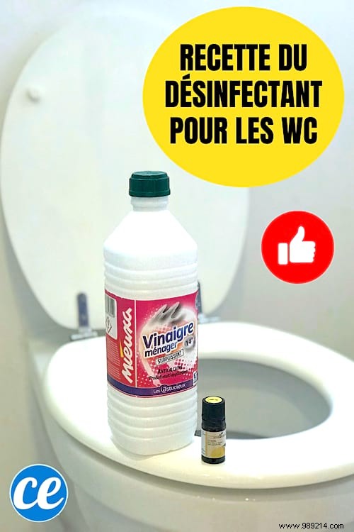 COVID-19:How to Disinfect Toilets With White Vinegar. 