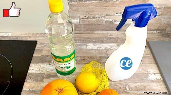 The Citrus Scented All Purpose Disinfectant Cleaner Recipe. 