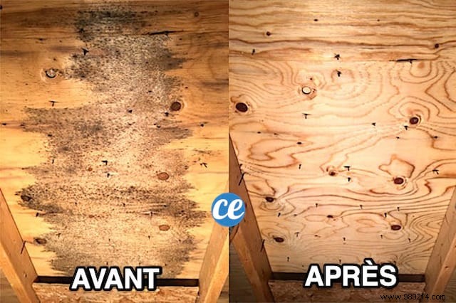 How to Remove Mold From Wooden Furniture (Easy &Fast). 