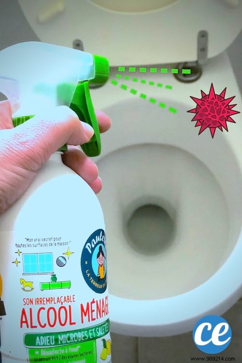 How to Disinfect &Deodorize Your Toilets WITHOUT Using Bleach. 