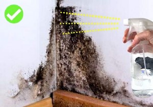 How to Remove Mold from a Wall with White Vinegar. 