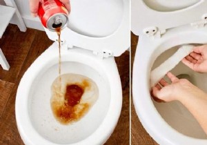 10 Bizarre Tricks To Clean Your Toilet (But That Really Work). 