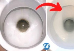 How to Clean the Bottom of the Toilet With Coca-Cola (WITHOUT Scrubbing). 