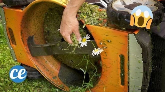 The Easy Trick To Clean A Lawnmower Full Of Weeds. 