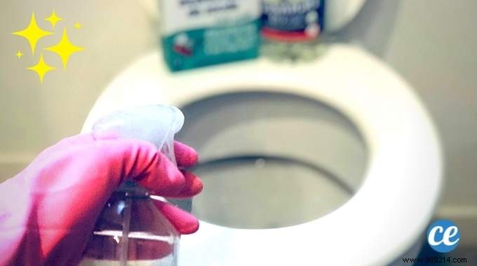 Dirty and yellowed toilet seat? How to clean it easily. 