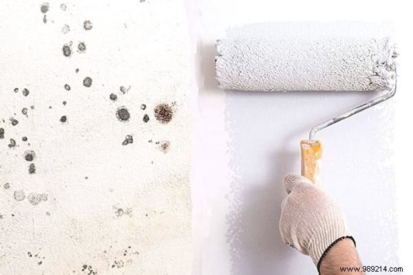 Bathroom Mold:7 Cleaning Tips (To Remove Them Easily). 