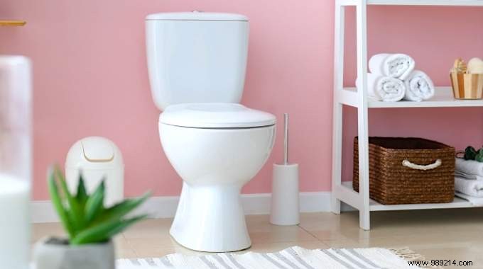 Toilet Cleaning:6 Natural Tips For Finding Nickel Toilets. 