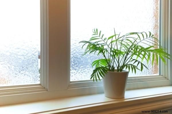 17 Tips Against Condensation On Windows (No More Mold). 