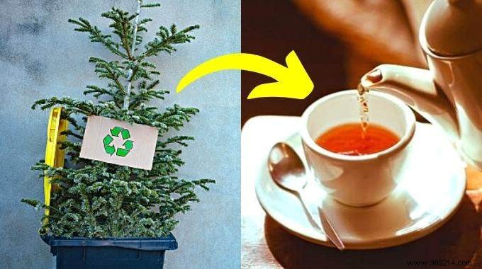 10 Tips To Recycle Your Christmas Tree (And Give It A Second Life). 