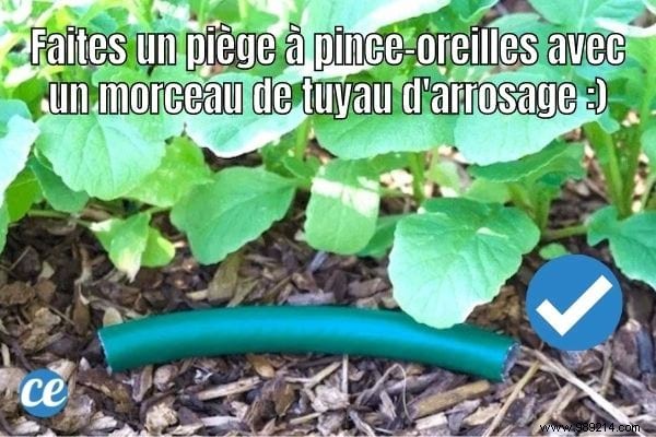 32 Ingenious Ways to Reuse Old Garden Hoses. 