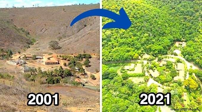 This Couple Planted 2 Million Trees In 20 Years To Reforest A Forest (And Even The Animals Came Back). 