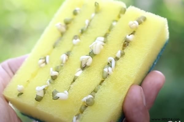 15 Amazing Ways to Use a Sponge Nobody Knows. 