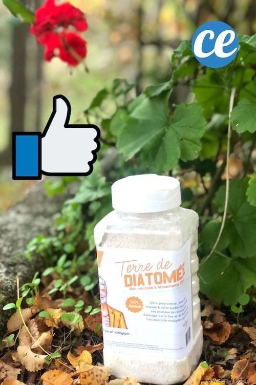 20 Amazing Uses of Diatomaceous Earth Nobody Knows About. 